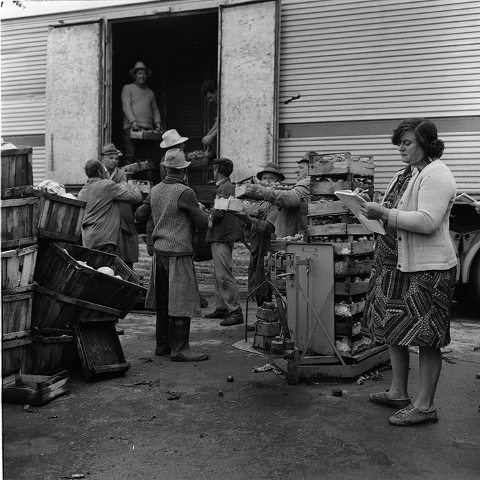 minerva_agricultura_1_c8r3_011