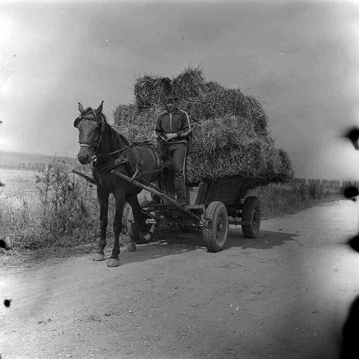 minerva_agricultura_1_c8r3_022