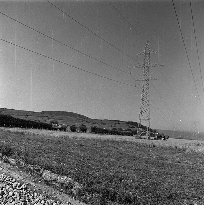 minerva_agricultura_1_c8r4_001