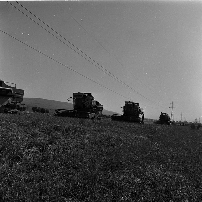 minerva_agricultura_1_c8r4_002