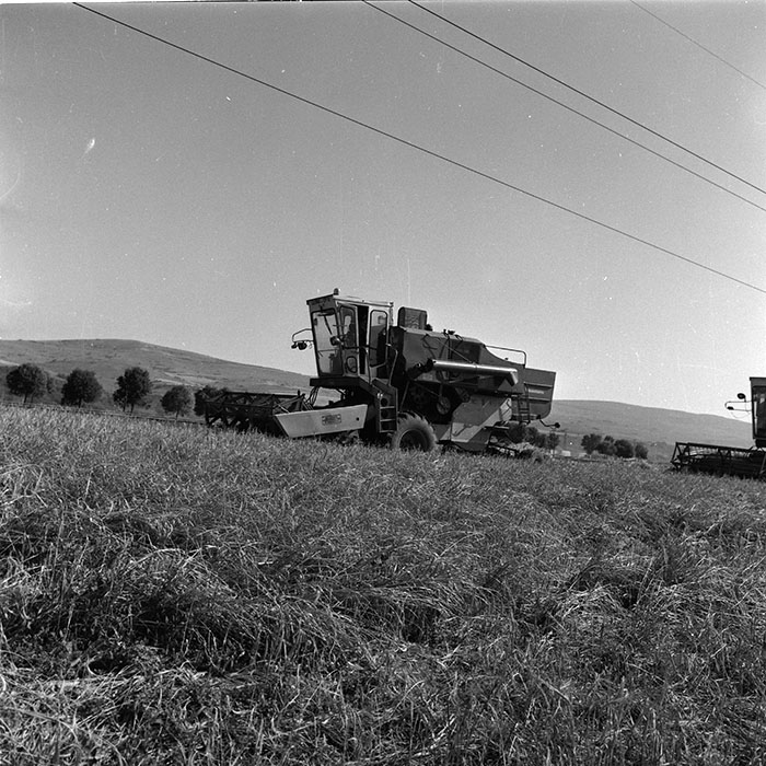 minerva_agricultura_1_c8r4_003