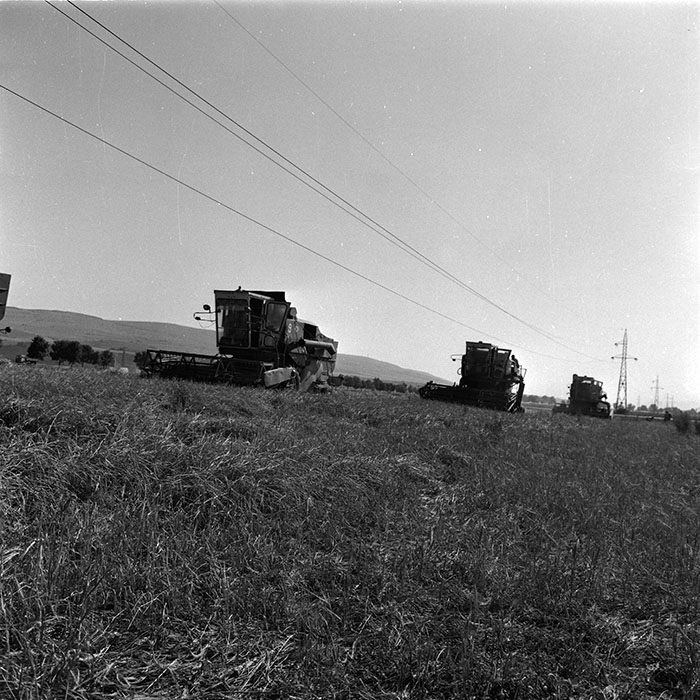 minerva_agricultura_1_c8r4_005