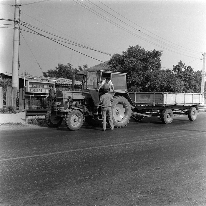 minerva_agricultura_1_c8r4_020