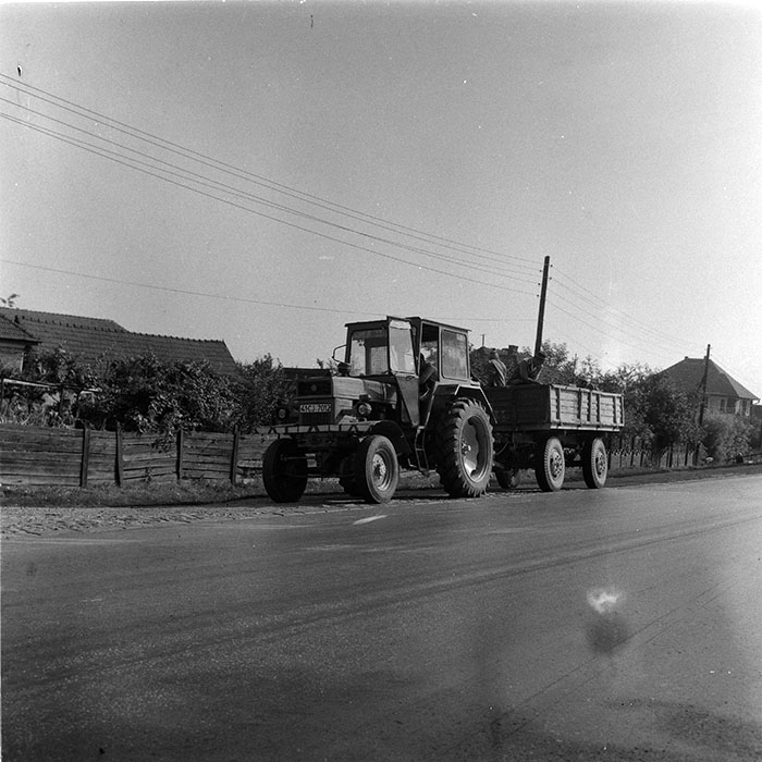 minerva_agricultura_1_c8r4_023