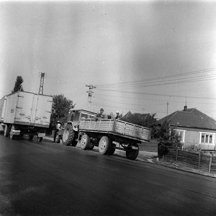 minerva_agricultura_1_c8r4_024