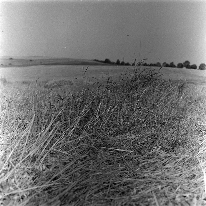 minerva_agricultura_1_c8r5_003