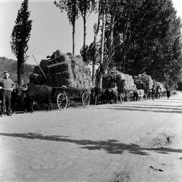 minerva_agricultura_1_c8r5_009