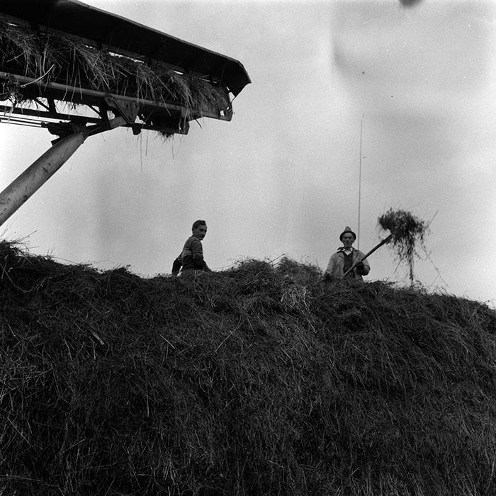 minerva_agricultura_1_c8r5_030