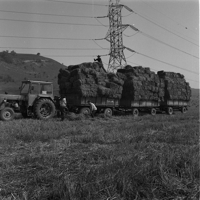 minerva_agricultura_1_c9r1_008