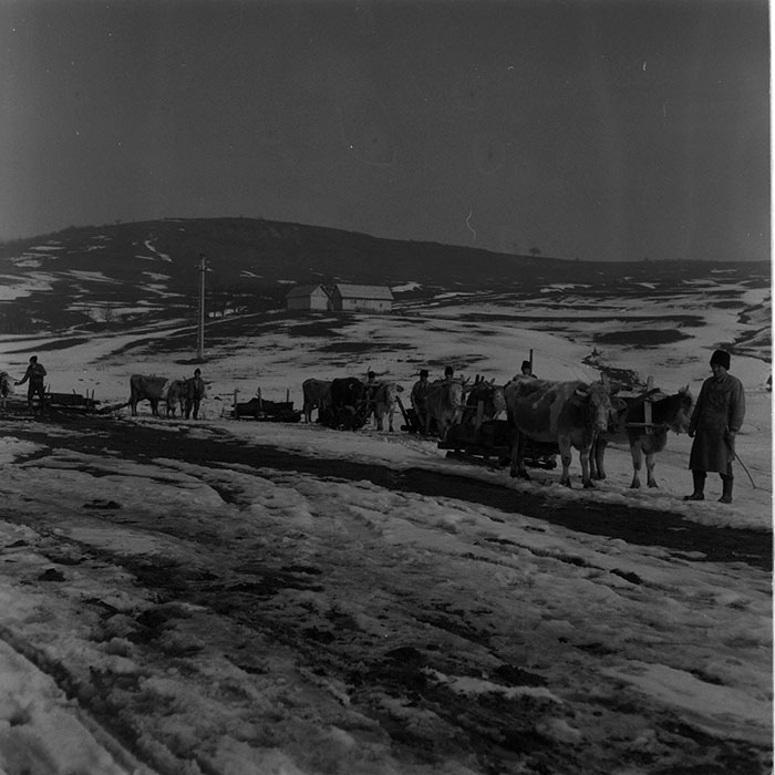 minerva_agricultura_1_c9r2_002