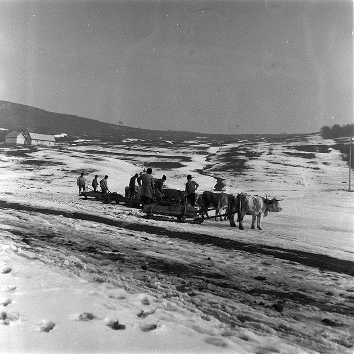 minerva_agricultura_1_c9r2_004