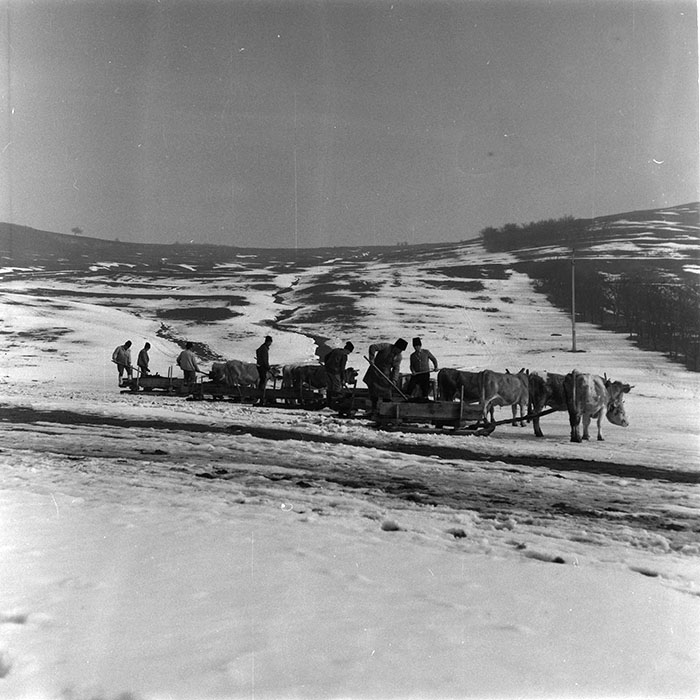 minerva_agricultura_1_c9r2_005