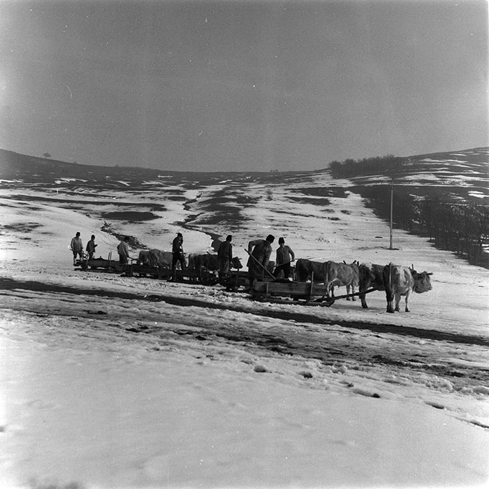 minerva_agricultura_1_c9r2_006