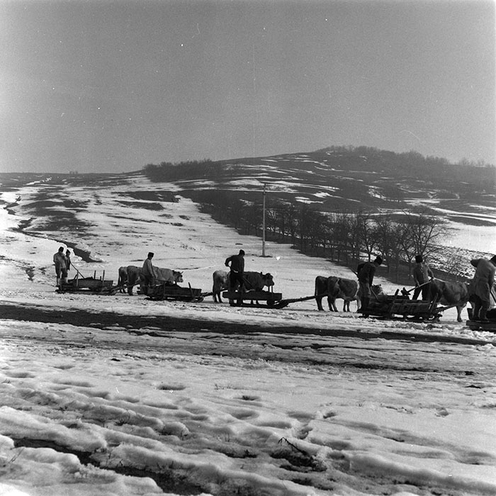 minerva_agricultura_1_c9r2_008