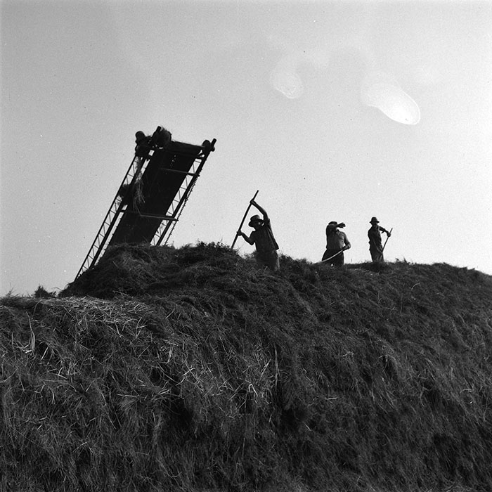 minerva_agricultura_1_c9r4_001