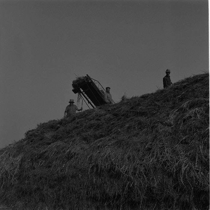 minerva_agricultura_1_c9r4_002