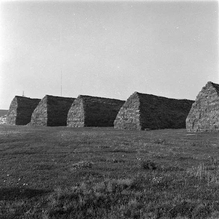 minerva_agricultura_1_c9r4_005