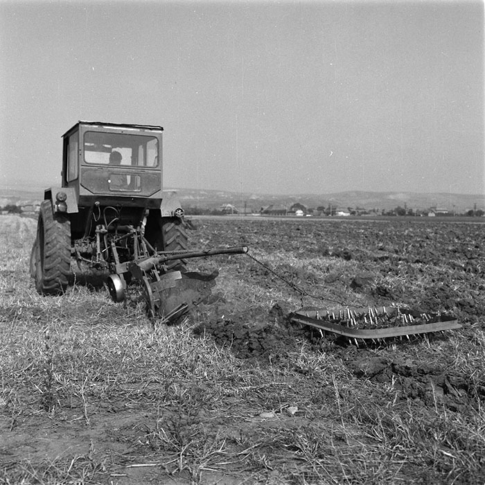 minerva_agricultura_1_c9r5_007