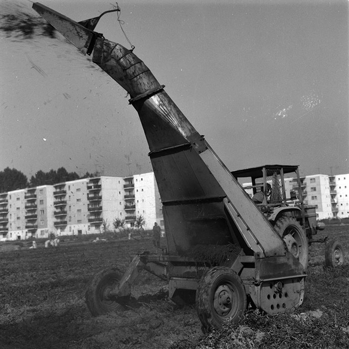 minerva_agricultura_1_c9r5_024