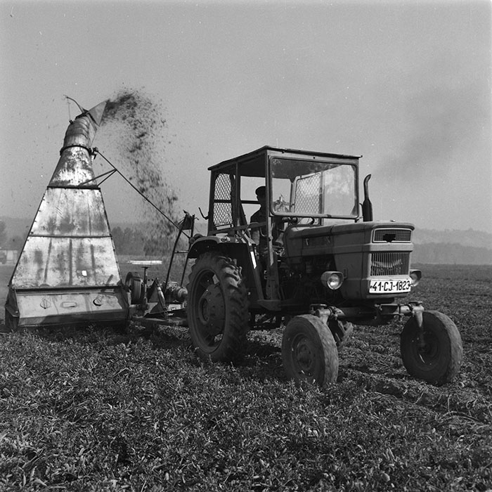 minerva_agricultura_1_c9r5_030