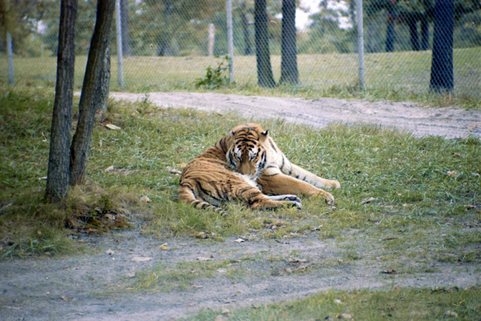 minerva_deak_f_C4_s2_127_great_adventure_boston_017