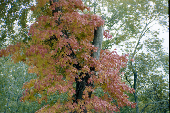 minerva_deak_f_C4_s2_127_great_adventure_boston_026