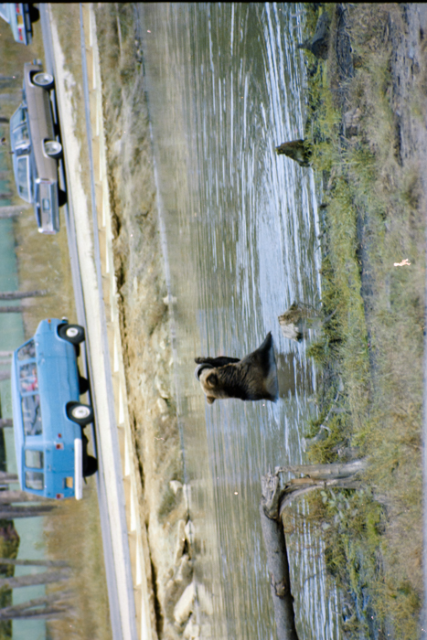 minerva_deak_f_C4_s2_127_great_adventure_boston_029