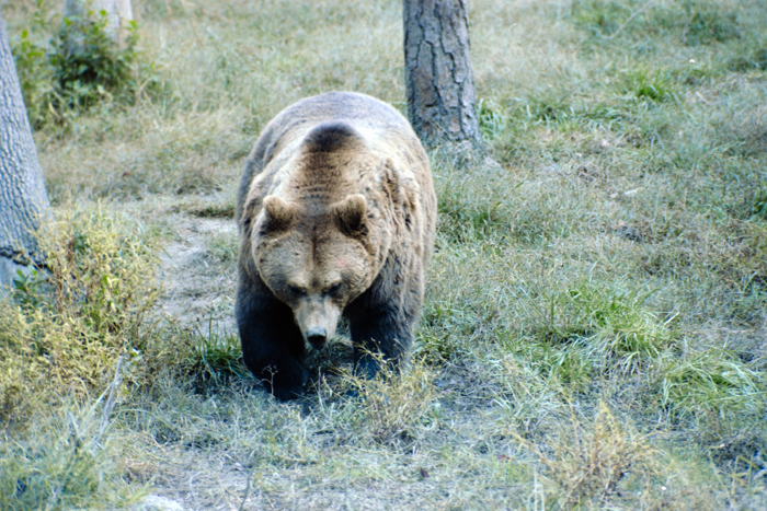 minerva_deak_f_C4_s2_127_great_adventure_boston_034