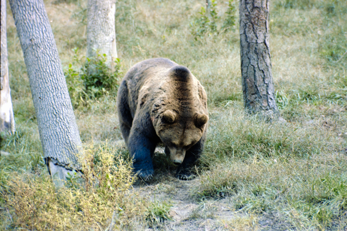 minerva_deak_f_C4_s2_127_great_adventure_boston_035