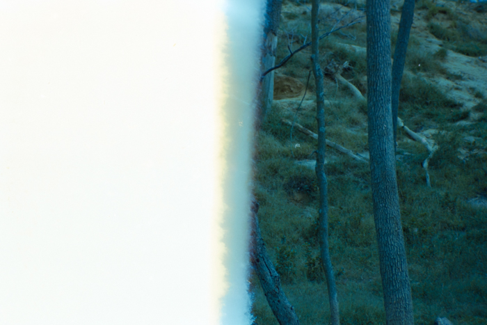 minerva_deak_f_C4_s2_127_great_adventure_boston_036