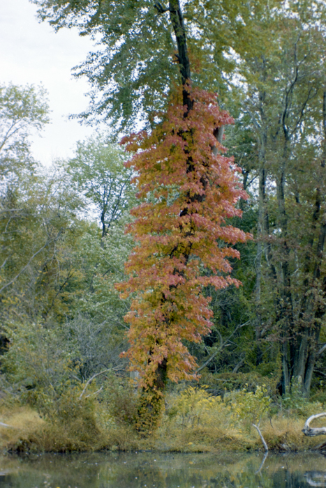 minerva_deak_f_C4_s2_127_great_adventure_boston_037