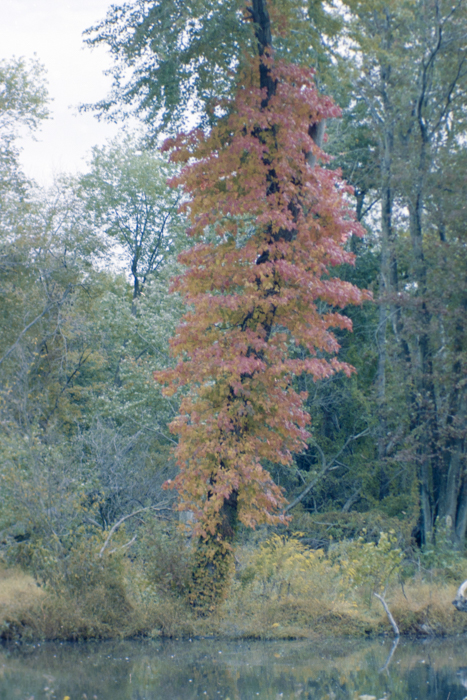 minerva_deak_f_C4_s2_127_great_adventure_boston_038