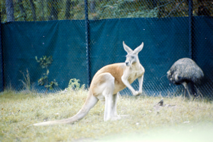 minerva_deak_f_C4_s2_127_great_adventure_boston_040