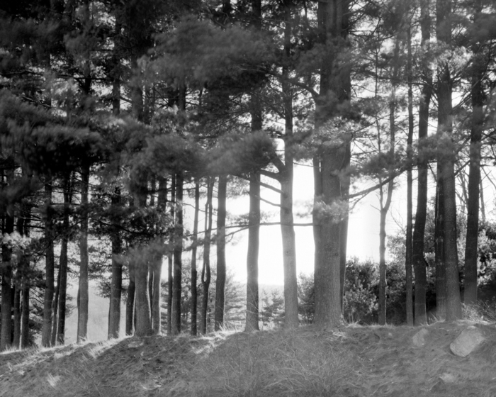 minerva_deak_f_c12_588_001