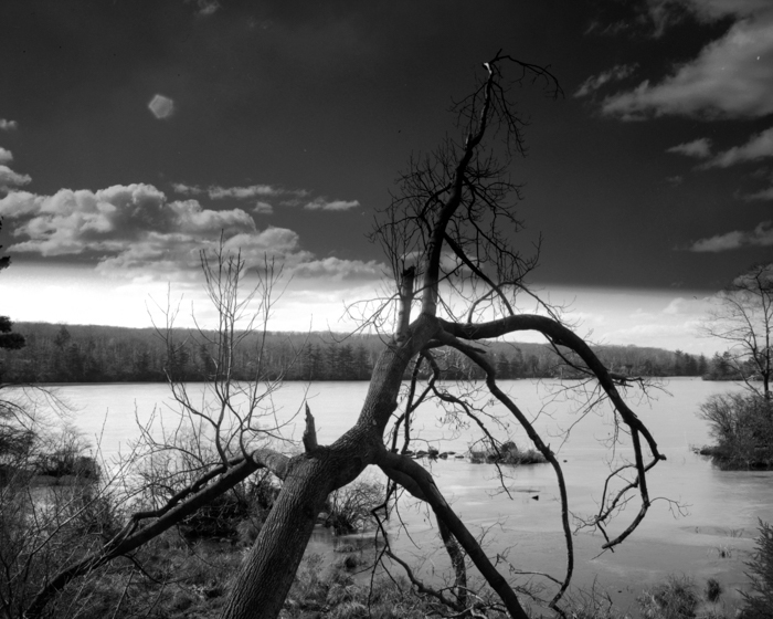 minerva_deak_f_c12_588_003