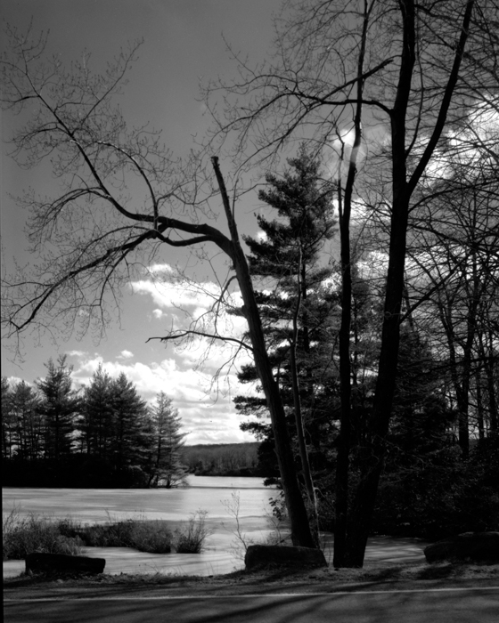 minerva_deak_f_c12_590_001