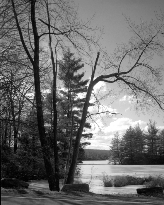 minerva_deak_f_c12_590_002