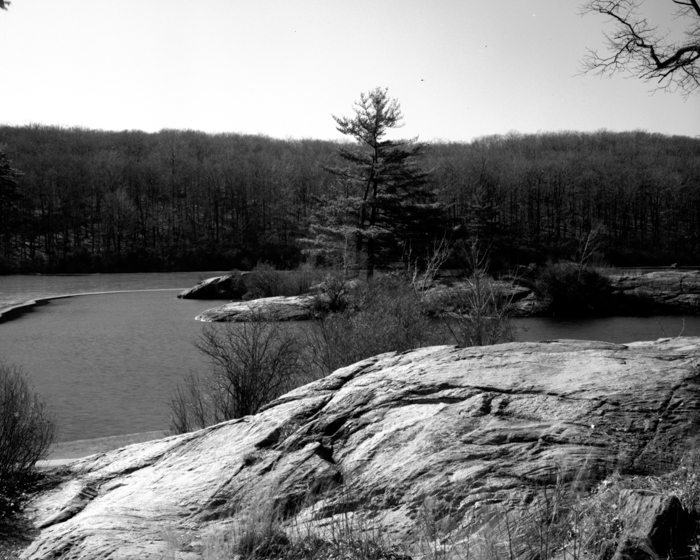 minerva_deak_f_c12_593_002