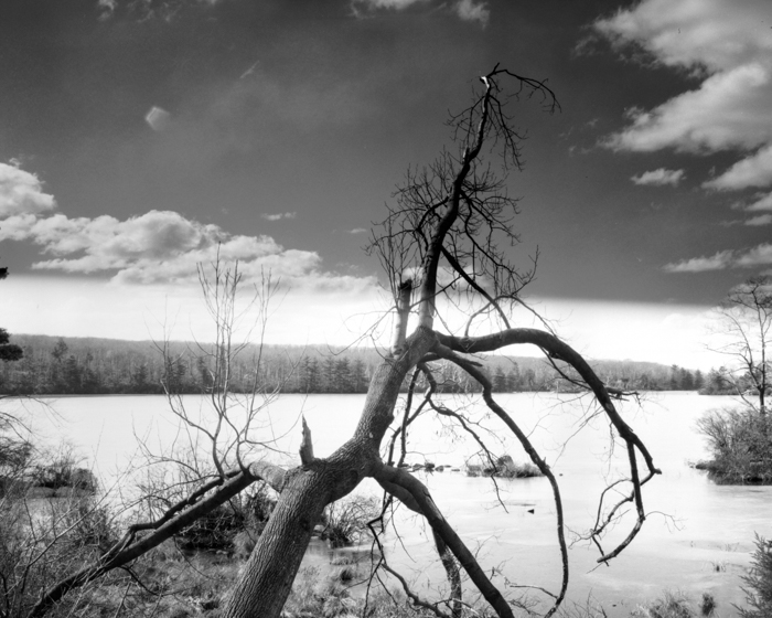 minerva_deak_f_c12_593_006