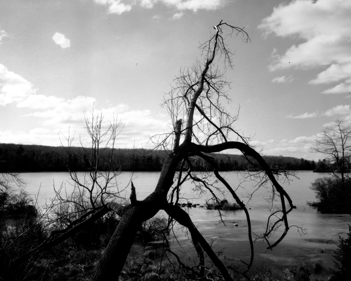 minerva_deak_f_c12_593_007