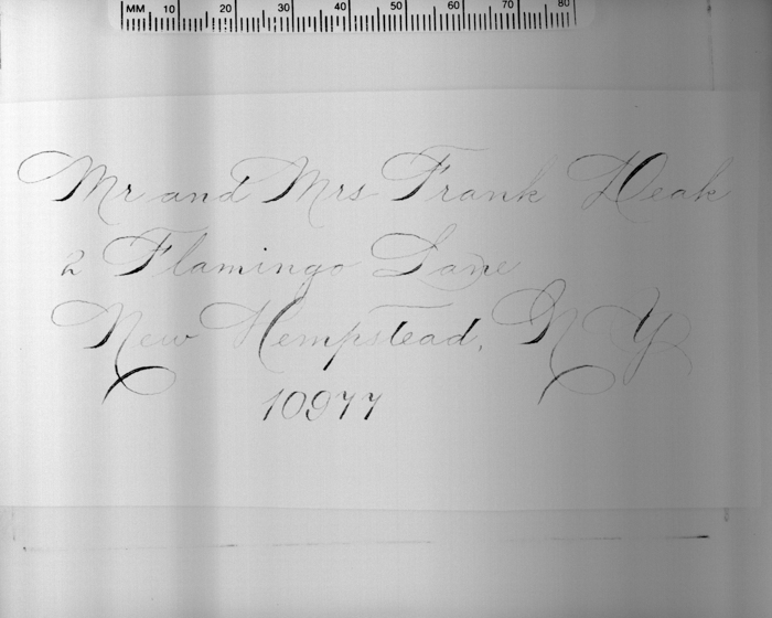 minerva_deak_f_c12_596_001