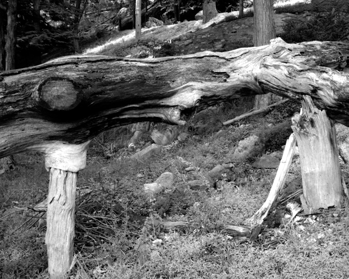 minerva_deak_f_c12_601_001