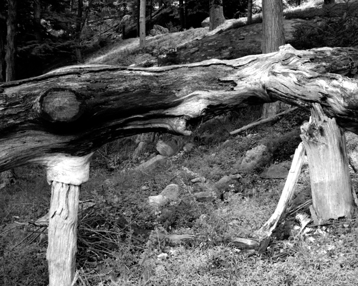 minerva_deak_f_c12_601_003