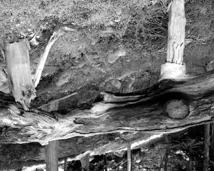 minerva_deak_f_c12_601_004