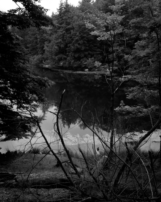 minerva_deak_f_c12_603_001