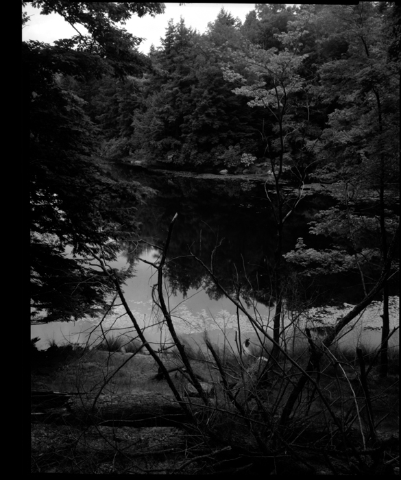 minerva_deak_f_c12_603_002-2