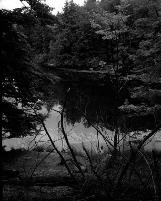 minerva_deak_f_c12_603_002