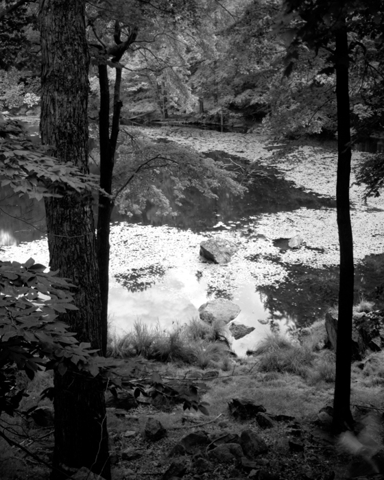 minerva_deak_f_c12_603_003