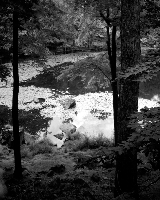 minerva_deak_f_c12_603_004