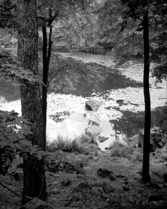 minerva_deak_f_c12_603_006